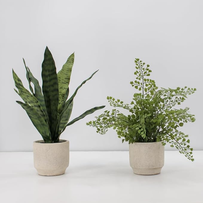 CG Hunter Faux Snake Plant & Fern, Set-of-2 Premium Artificial Indoor Plants, Enhances Interior Design, Lifelike-Leaves Create Realistic Natural Appearance, Grey Planter Pot Included