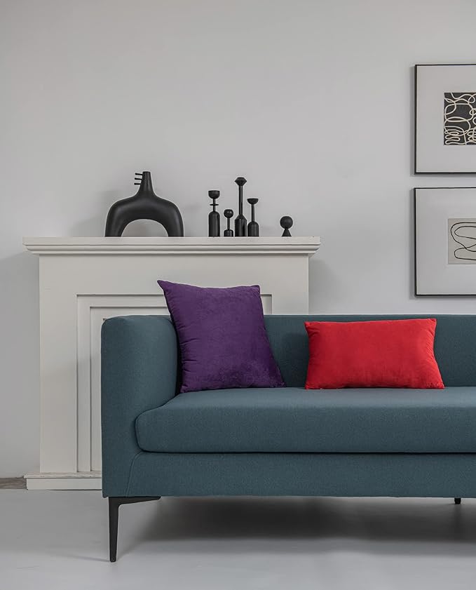 DEZENE Throw Pillow Covers 12x20 Red: 2 Pack Cozy Soft Velvet Rectangular Decorative Pillow Cases for Farmhouse Home Decor