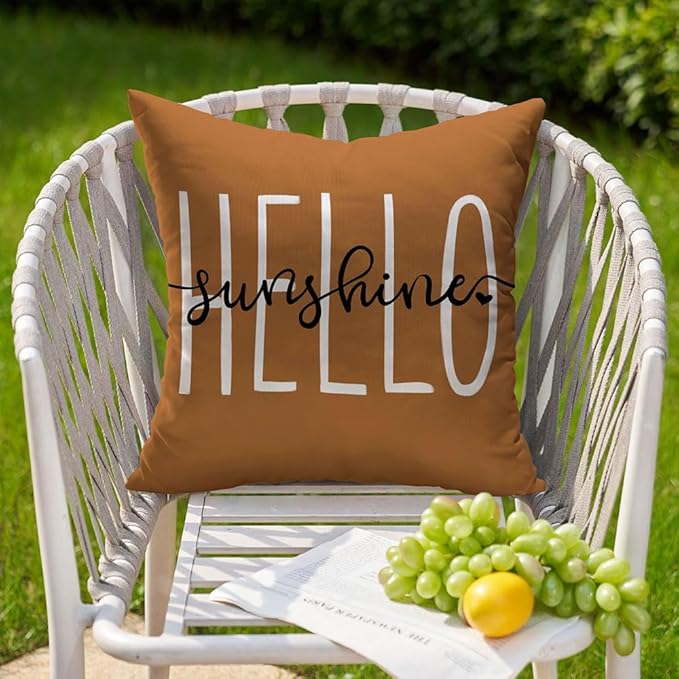 DFXSZ Outdoor Pillow Covers 18x18 Inch Set of 2 Hello Sunshine Decor Rust Waterproof Summer Outdoor Pillowcases Decor for Patio Funiture Garden Sofa Couch 020L18