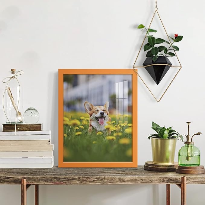 Renditions Gallery 11x14 inch Picture Frame High-end Modern Style, Made of Solid Wood and High Definition Glass Ready for Wall and Tabletop Photo Display, Orange Frame