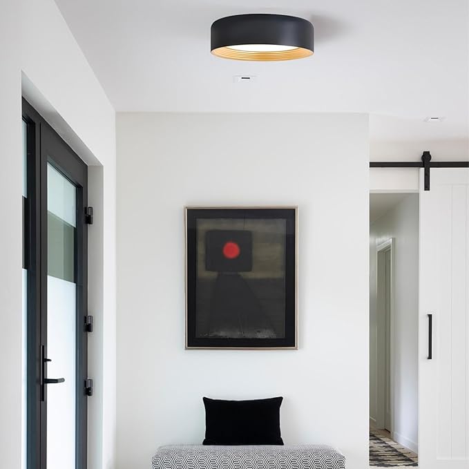 Dimmable Flush Mount Ceiling Light,Round 11.81 inch LED Ceiling Light,Modern Black with Gold Inside Lighting,24W 5CCT 3000K-6500K Selectable for Laundry Room Hallway Kitchen