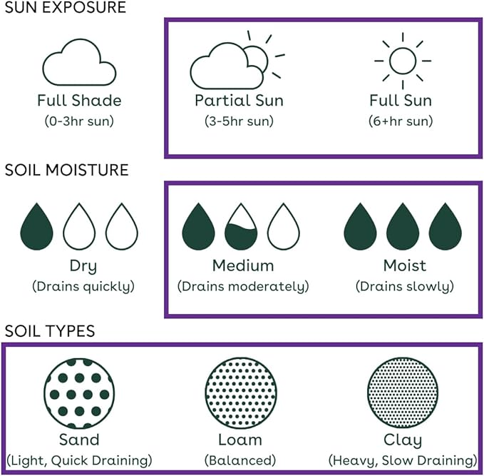 16 Outdoor Native Plants for Full Sun to Support Monarch Butterflies – Includes Common Milkweed, Lanceleaf Coreopsis, Blue Mistflower & Calico Aster – Not Seeds – 4–8” Tall on Arrival – Easy to Grow