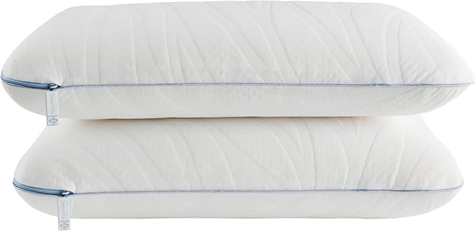 Sealy Dreamlife King Size Memory Foam Cooling Surface Guard Technology, Removable Machine-Washable Cover, 1 Year Warranty, White Pillow