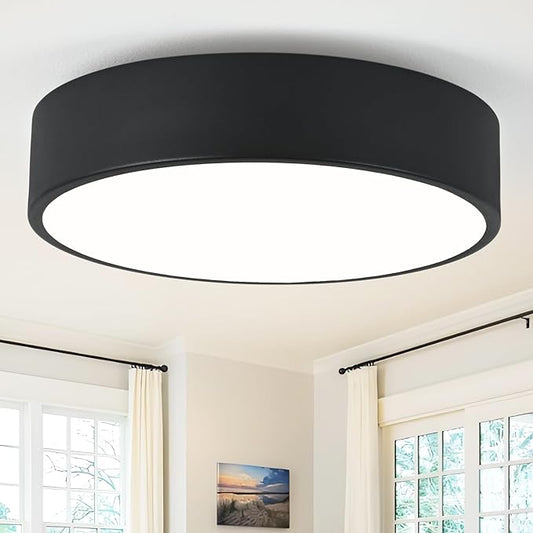Modern Flush Mount 2-Light Round Black Ceiling Light Fixture, Minimalistic Acrylic Shade Lighting for Bedroom, Laundry Room, Foyer, Hallway (11.8")