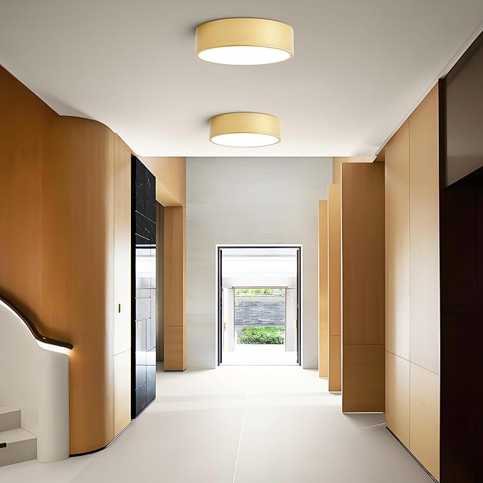 Dimmable Modern Flush Mount Ceiling Light Fixture,Painted Gold Round LED Ceiling Lights Fixtures,5CCT 2700K-6000K Lighting for Kitchen Hallway Bedroom Laundry Room Entryway Closet 11.81 inch