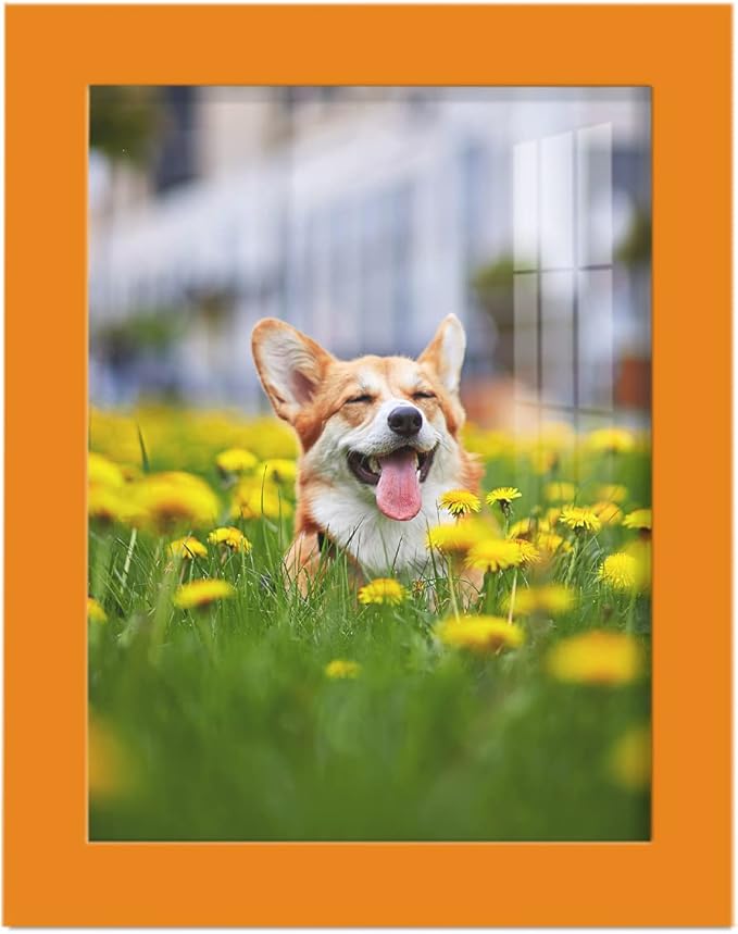 Renditions Gallery 6x8 inch Picture Frame High-end Modern Style, Made of Solid Wood and High Definition Glass Ready for Wall and Tabletop Photo Display, Orange Frame