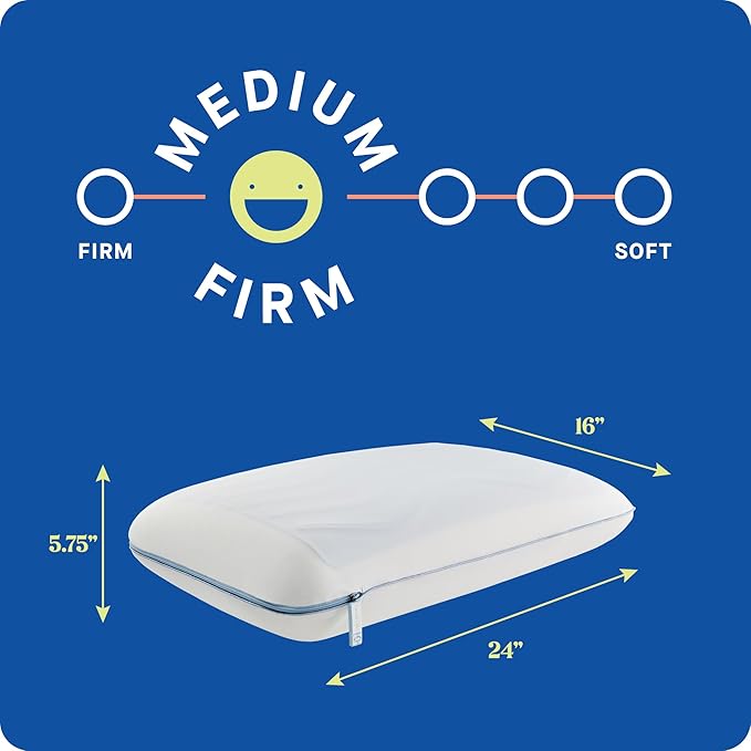 SEALY Dreamlife Memory Foam, Standard Pillow, White