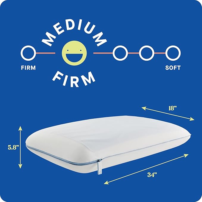 Sealy Dreamlife Memory Foam Gel, King, White Pillow