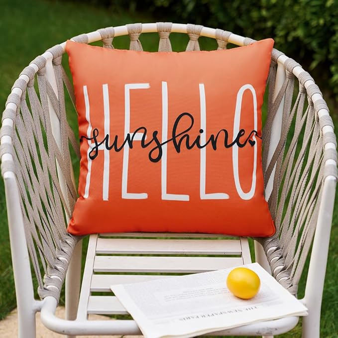 DFXSZ Outdoor Pillow Covers 16x16 Inch Set of 2 Hello Sunshine Decor Dirty Orange Waterproof Throw Pillow Covers Summer Outdoor Pillow Covers Decor for Patio Funiture Garden Sofa Couch 020J16