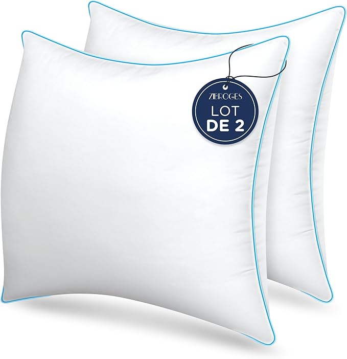 DP01 Bed Pillow, Throw 60x60cm Set of 2, Sky Blue Side 2 Count