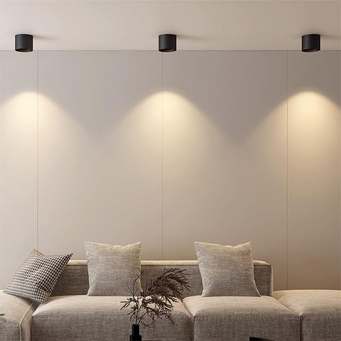 Flush Mount Ceiling Light, 20W LED Dimmable 5.9" Cylinder Ceiling Light, Aluminum Rustic Black Ceiling Spotlight for Foyer Closet Kitchen Hallway Entryway 3000K Warm White