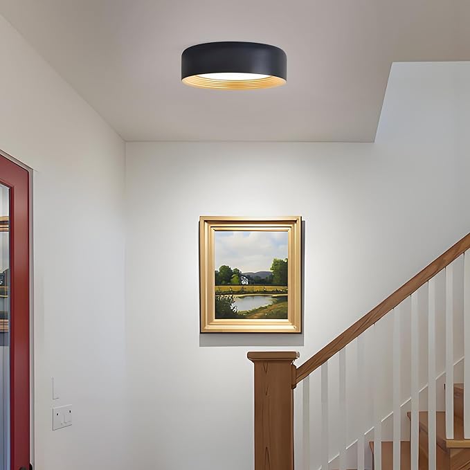 Dimmable Flush Mount Ceiling Light,Round 11.81 inch LED Ceiling Light,Modern Black with Gold Inside Lighting,24W 5CCT 3000K-6500K Selectable for Laundry Room Hallway Kitchen