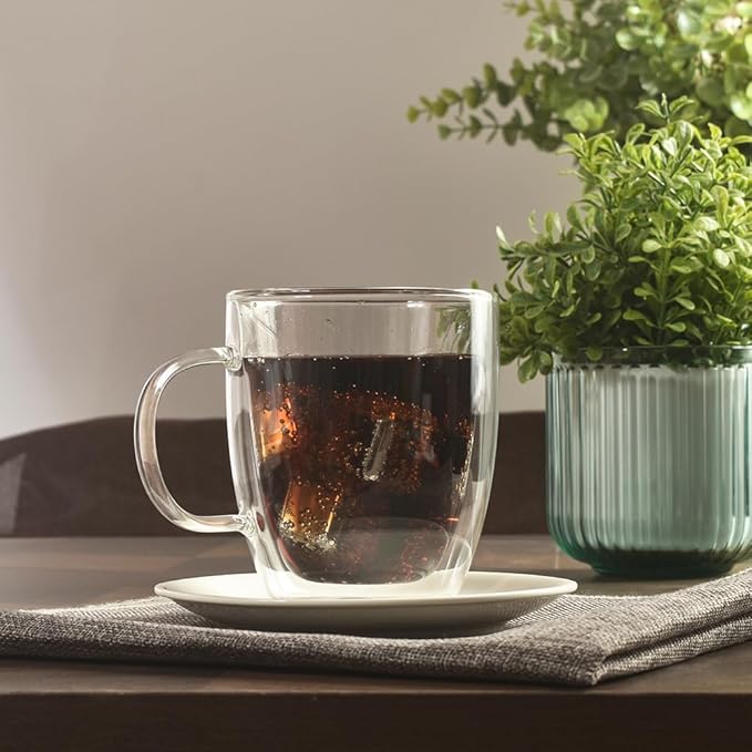 homEdge Insulated Double-Wall Glasses Mugs - 12.5 oz, Set of 2