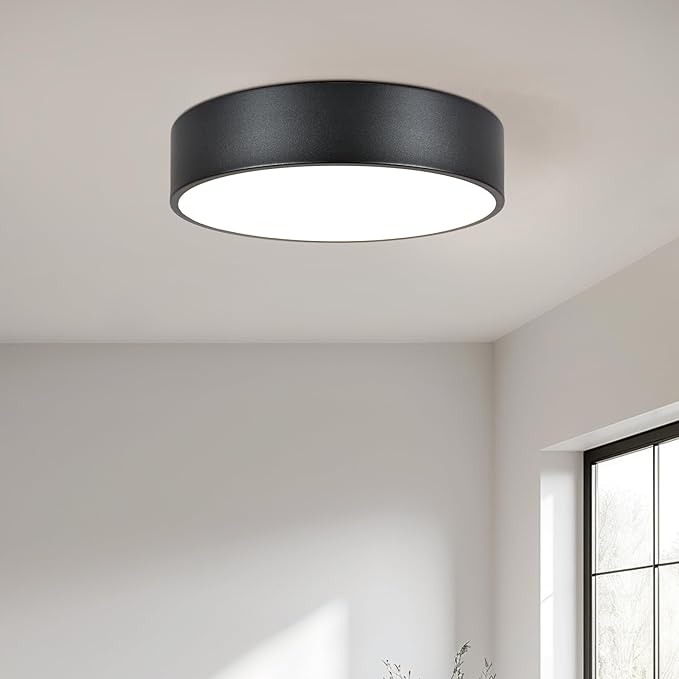 Black Flush Mount Light Fixture, 2-Light Minimalist Close to Ceiling Lamp, Industrial for Hallway, Entryway, Closet, Kitchen Island, Foyer, Balcony, Farmhouse, 11.8 Inch