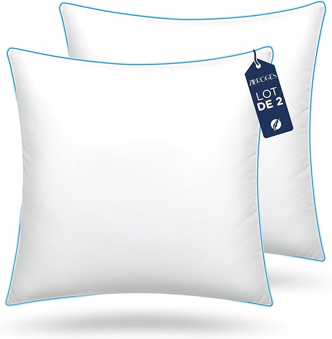 DP01 Bed Pillow, Throw 60x60cm Set of 2, Sky Blue Side 2 Count