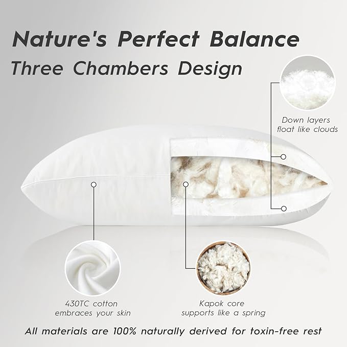 Globon Luxury Down Pillow Queen Size 100% Cotton Shell, Hotel Collection Bed Pillow for Sleeping, Medium Firm Down Surrounded Feather Pillow 20" x 30", 1 Pcak