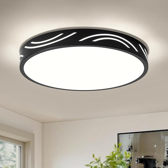 Modern Dimmable Ceiling Light Fixture,5CCT in One LED Flush Mount Kitchen Lights,Round Close to Ceiling Lamp for Hallway Entryway Bedroom Living Room Laundry Room Bathroom(Black,11.81 in,ETL Listed)