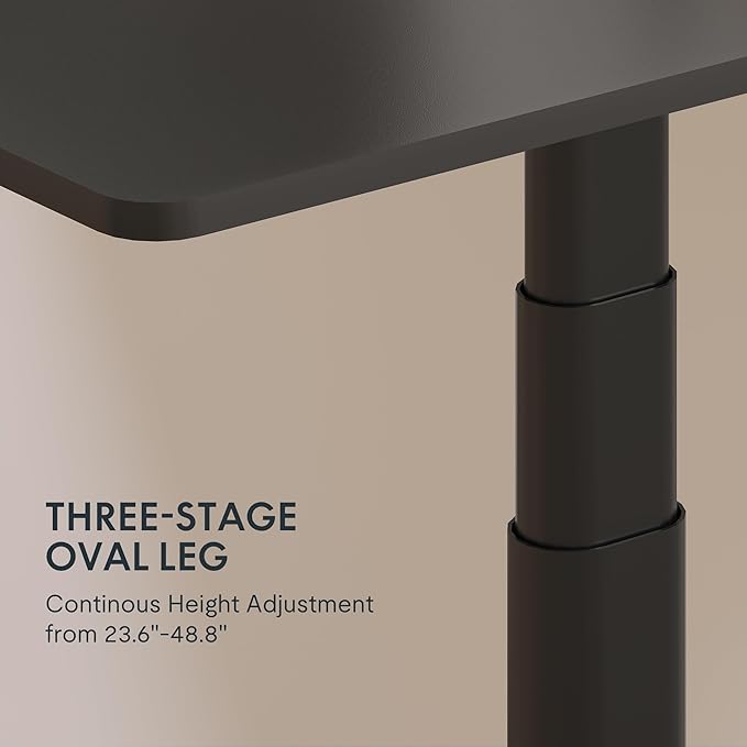 FLEXISPOT E6 Pro Oval Leg Dual Motor 3 Stages Standing Desk 60x24 Inch Whole-Piece Board Electric Height Adjustable Electric Sit Stand Up Desk 150KG Load Capacity (Black Frame + Black Desktop)