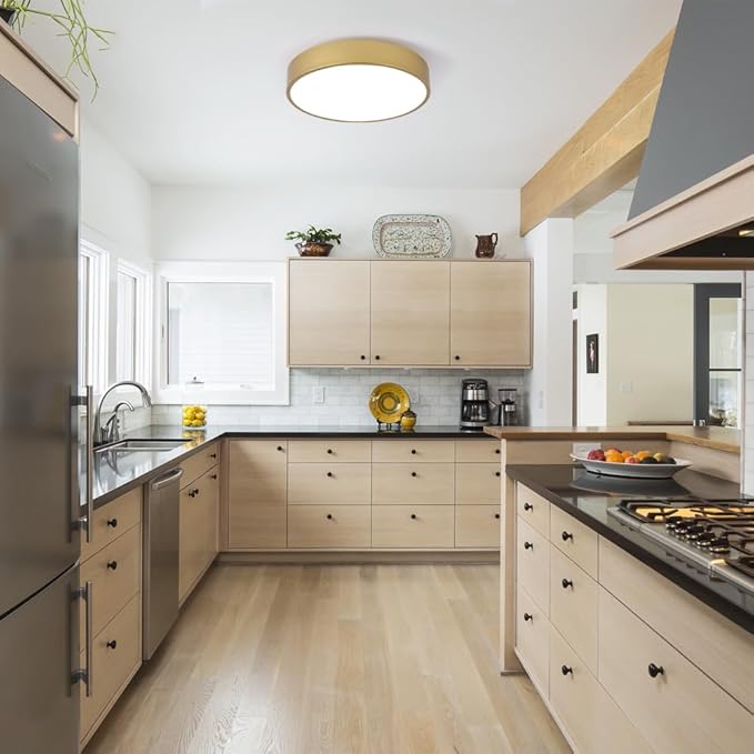 Modern Gold Flush Mount Ceiling Light, 3-Lights Round Ceiling Light, Minimalistic Ceiling Lamp Acrylic Shade Lighting Fixture for Bedroom Laundry Room Bathroom Hallway(15.8 Inch)