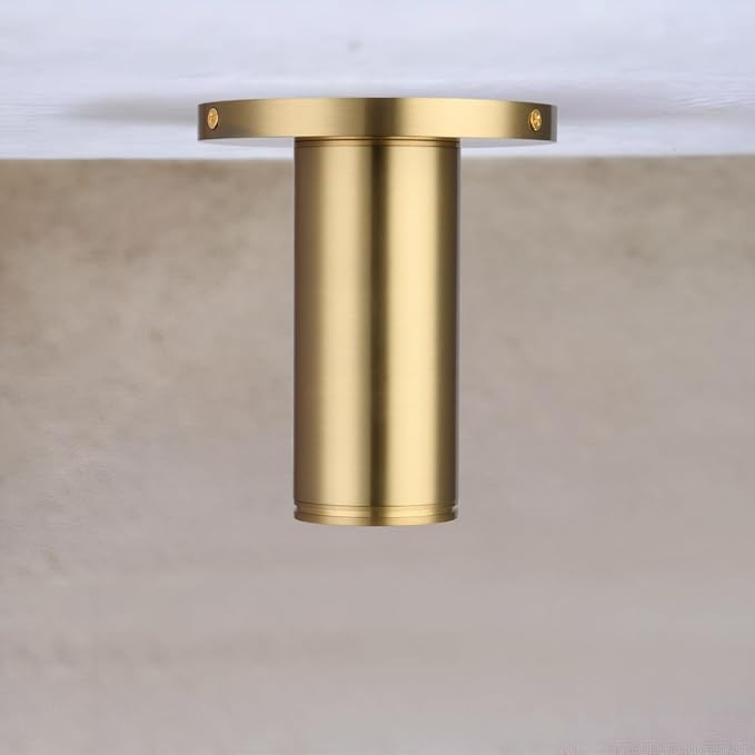Brass Cylinder Ceiling Light Fixture, Flush Mount LED Dimmable Spot Light, Living Room Hallway Kitchen Dining Room Foyer
