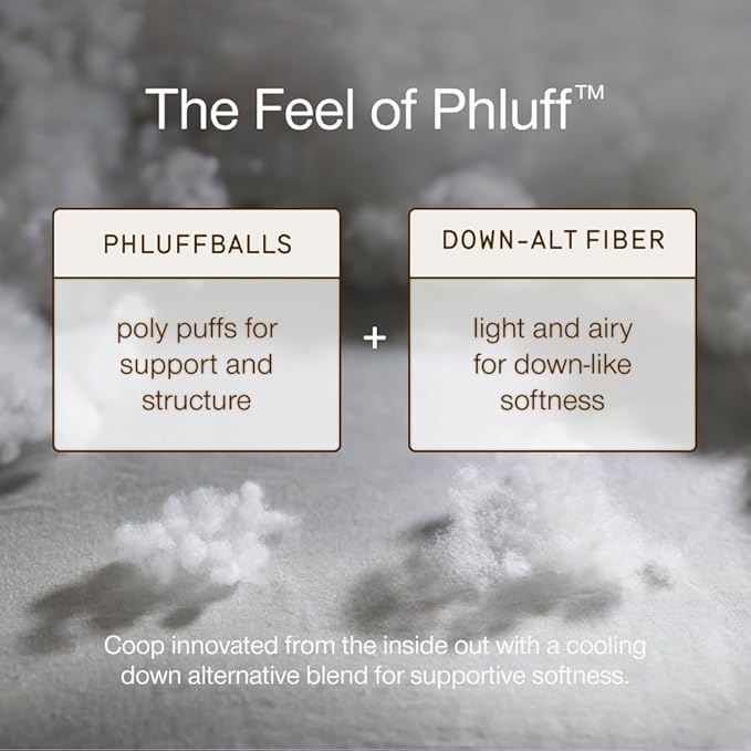 Coop Home Goods Essence Down Alternative Mattress Topper Queen, Plush 2-Inch Gusset and Baffle Box Design for Even Support and Comfort, Premium Bed Topper for Pressure Relief, Oeko-TEX Certified