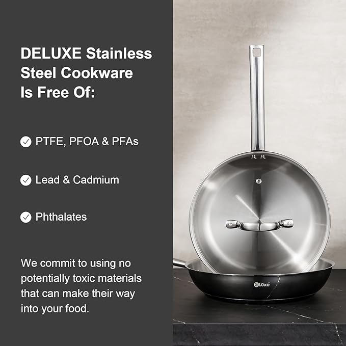 DELUXE Stainless Steel Frying Pan Set 4-Pieces, 10" and12 Skillet with Lid and Stay-Cool Handle, PFOA Free Stainless Steel Pan Suitable with Induction Gas Stoves, Dishwasher&Oven Safe