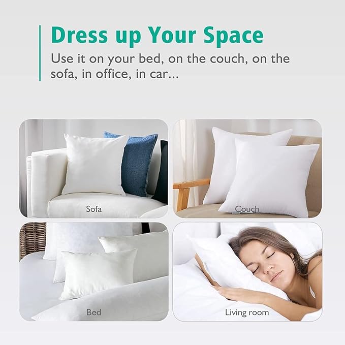 APSMILE 22x22 Down Feather Throw Pillow Inserts 2 Pack - Premium Soft Cotton Euro Square Decorative Pillow Core Set for Bed, Sofa, Couch, Ivory White