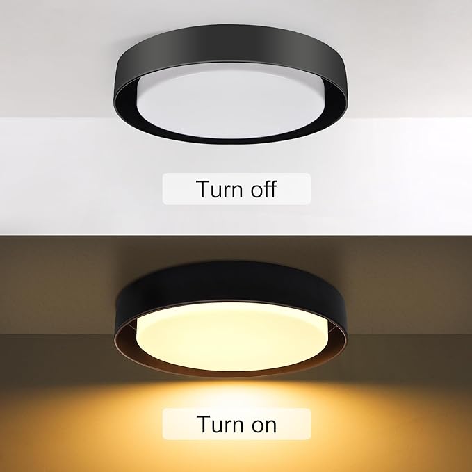 Hlite 10 inch Ceiling Light Fixture,Modern LED Flush Mount Ceiling Light,3000K/Warm White/20W,Dimmable 1600LM Rustic Indoor Room Decorative Ceiling Lights for Bedroom Kitchen, Black(1 Pack)