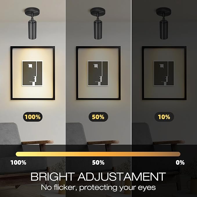 Matte Black Ceiling Spotlight, Hardwired LED Ceiling Spot Light Indoor, Flush Mounted Monopoint Ceiling Light, Modern Directional Spot Lights, Adjustable Spotlight Fixtures