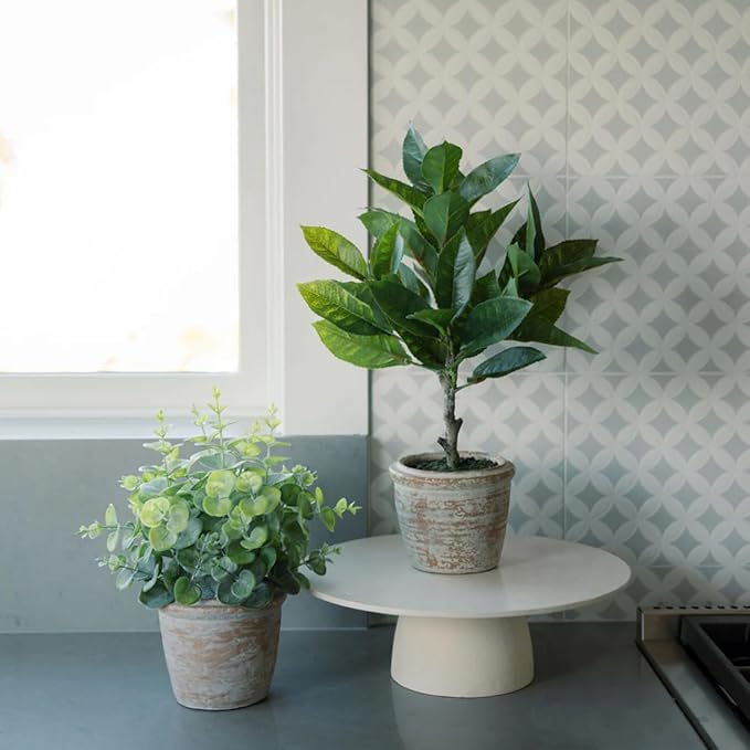 CG Hunter Faux Eucalyptus & Citrus Topiary, Set-of-2 Premium Artificial Indoor Plants, Enhances Interior Design, Lifelike-Leaves Create Realistic Natural Appearance, Grey Planter Pot Included
