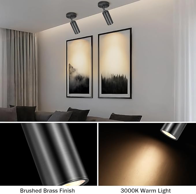 Matte Black Ceiling Spotlight, Hardwired LED Ceiling Spot Light Indoor, Flush Mounted Monopoint Ceiling Light, Modern Directional Spot Lights, Adjustable Spotlight Fixtures