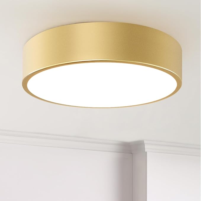 Modern Gold Flush Mount Light, 12 Inch 2-Light Round Close to Ceiling Fixture, Minimalist Lamp for Foyer, Hallway, Kitchen Island, Bedroom, Laundry, Bathroom