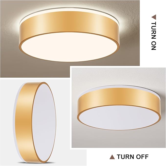 Gold LED Flush Mount Ceiling Lights, Modern Dimmable 5CCT Close to Ceiling Light, Minimalist Overhead Round Kitchen Lighting Fixtures for Bedroom Hallway Entryway Living Room, 15.8 Inch