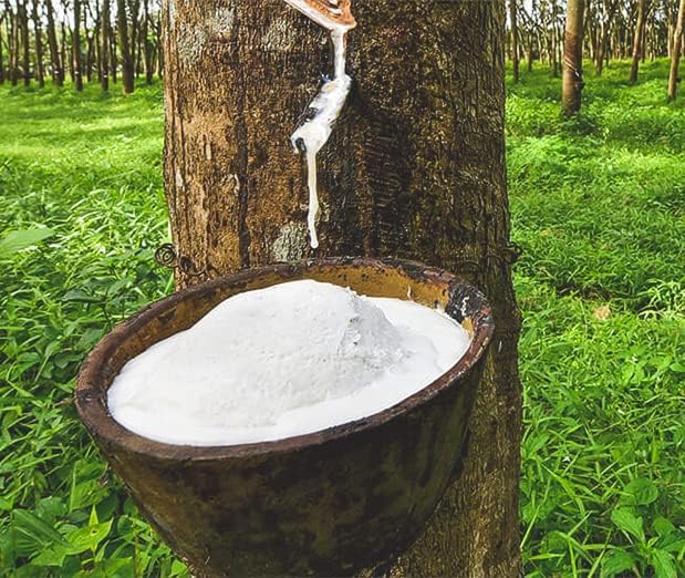 Dunlop Latex Mattress Topper - Soft - 3" - Twin