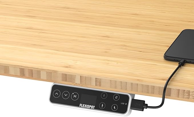 FLEXISPOT E6 Pro Oval Leg Dual Motor 3 Stages Bamboo Electric Standing Desk 60x30 Inch Whole-Piece Board Height Adjustable Electric Sit Stand Up Desk (White Frame + Bamboo Desktop)