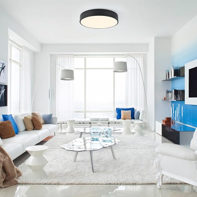 Modern Black Flush Mount Ceiling Light, 3-Lights Round Ceiling Light, Minimalistic Ceiling Lamp Acrylic Shade Lighting Fixture for Bedroom Laundry Room Bathroom Hallway(15.8 Inch)