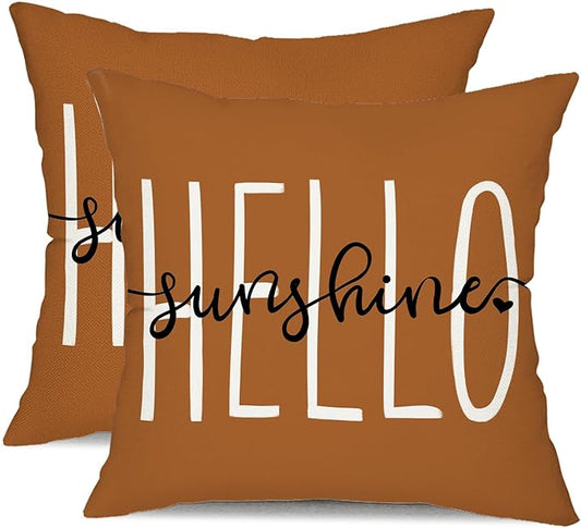 DFXSZ Outdoor Pillow Covers 18x18 Inch Set of 2 Hello Sunshine Decor Rust Waterproof Summer Outdoor Pillowcases Decor for Patio Funiture Garden Sofa Couch 020L18