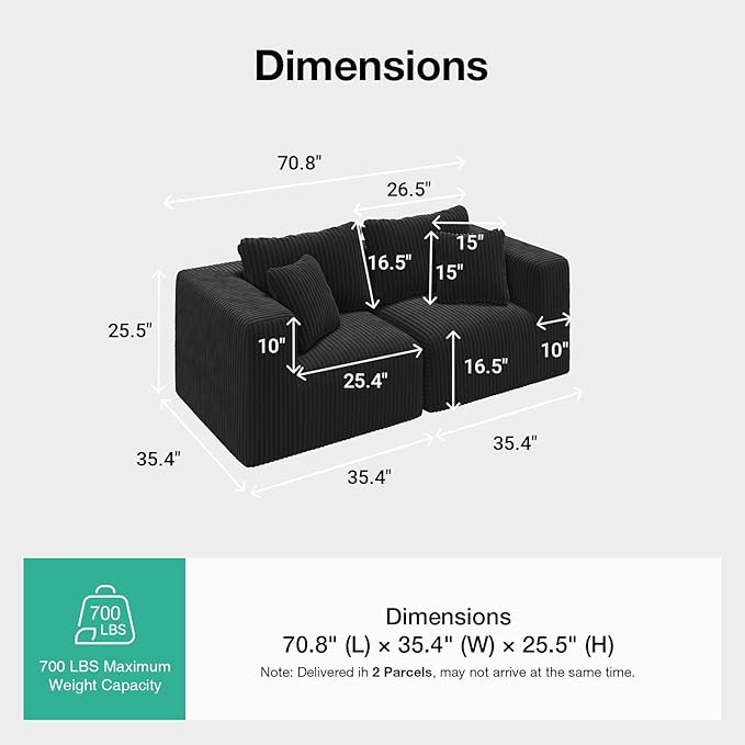 Novilla Modular Sectional Sofa, Modern Cloud Sectional Couch with Smarts Coil™ Support, Upholstered Boneless Couch for Living Room Apartments Bedroom, No Assembly Required (Loveseat)