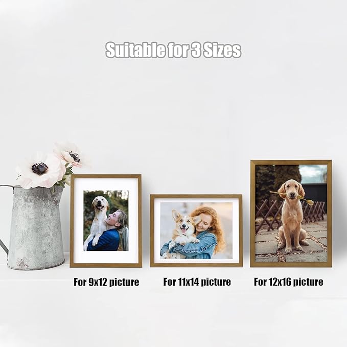 Egofine 12x16 Picture Frame Made of Solid Wood with Plexiglass, Display Pictures 9x12/11x14 with Mat or 12x16 Without Mat, for Wall Mounting Photo Frame, Light Brown