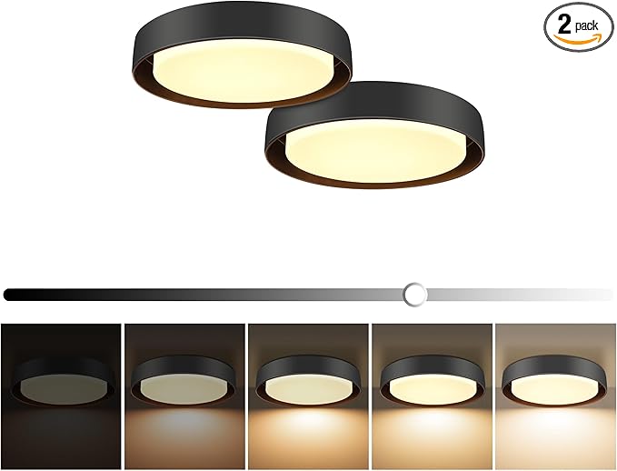 Hlite 10 inch Ceiling Light Fixture,Modern LED Flush Mount Ceiling Light,3000K/Warm White/20W,Dimmable 1600LM Rustic Indoor Room Decorative Ceiling Lights for Bedroom Kitchen, Black(2 Pack)