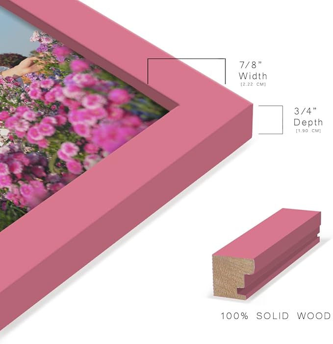 Renditions Gallery 6x8 inch Picture Frame High-end Modern Style, Made of Solid Wood and High Definition Glass Ready for Wall and Tabletop Photo Display, Hot Pink Frame