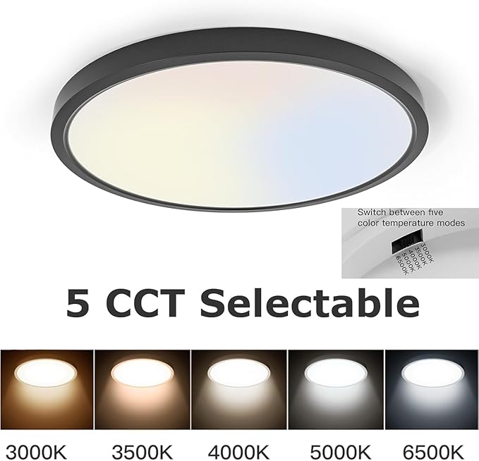 TALOYA Flush Mount LED Ceiling Light Fixture Black,12 Inch 20 Watt, Thin Ceiling Lamp Surface Mount for Kitchen Bedroom Utility Laundry Closet Room,5 Color Temperatures in One