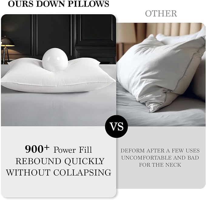 Shilucheng Goose Down and Feather Pillows Queen Size Set of 2 Pack, Luxury Hotel Quality Bed Pillows for Side Back Stomach Sleepers, Soft 100% Cotton Shell（White,20" x 30"）