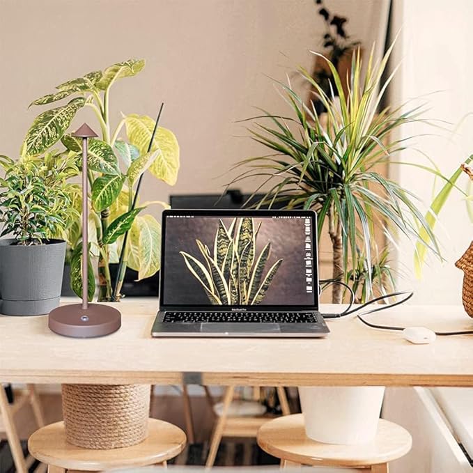 Rechargeable Cordless Table Lamps,Modern Battery Operated Table lamp,Portable LED Touch 2 Levels Brightness Dimmable Bar Lamp,Small Lamp in Aluminum for Bars,Restaurant,Living Room(Rust)