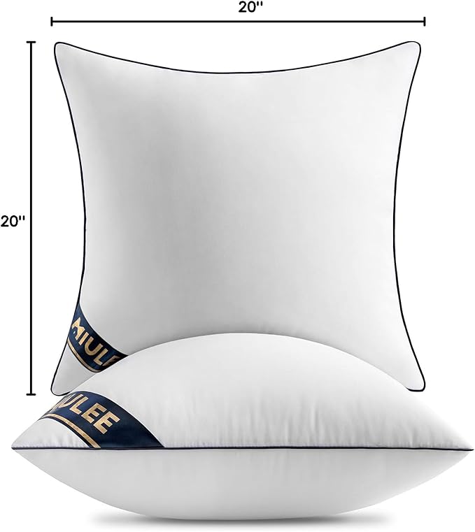 MIULEE 20x20 Pillow Inserts Set of 2 Throw Pillows 20 Inch Premium Down Alternative Pillow Inserts Decorative Pillow Stuffer for Sofa, Couch (20x20 inch, Set of 2)