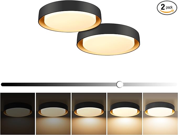 Hlite 10 inch Ceiling Light Fixture,Black LED Flush Mount Ceiling Light with Gold Inside,3000K/Warm White/20W,Dimmable 1600LM Indoor Room Decorative Modern Ceiling Lights for Bedroom Kitchen(2 Pack)