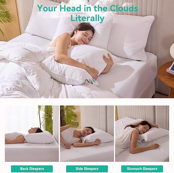 Three Geese White Goose Feather Down Pillows Queen Size Set of 2-100% Cotton, Medium Firm,Soft Support