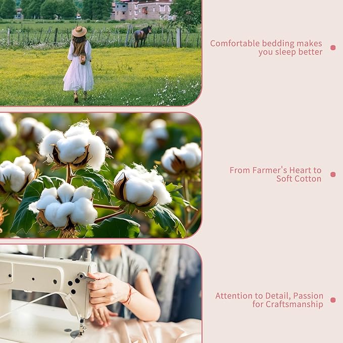 Bedlifes 1000 Thread Count 100% Egyptian Cotton California King Size Sheets Set - Sateen Soft Silky Breathable Luxury Cooling 4 Pieces (Light Pink)