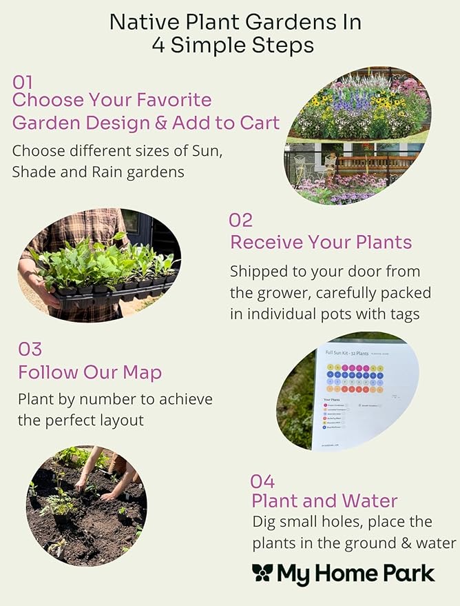 64 Outdoor Plants - Flowering Garden for Full Sun to Support Pollinators Including Perennial Native Plants Purple Coneflower, Butterfly Milkweed, Wild Bergamot and Smooth Blue Aster