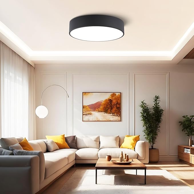 Modern Dimmable Round Black LED Large Flush Mount Ceiling Light Fixture, Mounted Ceiling Lamp Lighting Fixtures,5CCT 2700-6000K for Kitchen Master Bedroom Living Room,36W 15.74 Inch